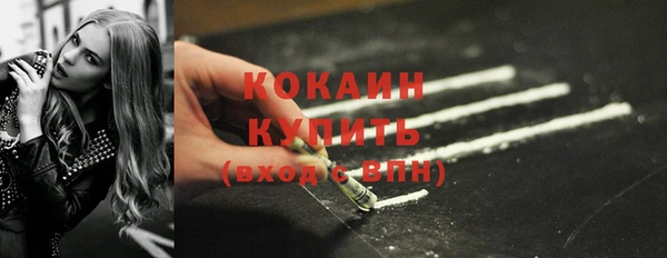 ешки Арсеньев