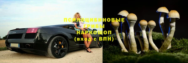 ешки Арсеньев