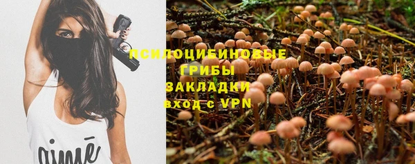 ешки Арсеньев