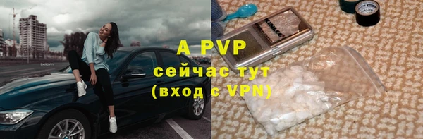 прущие грибы Верхний Тагил