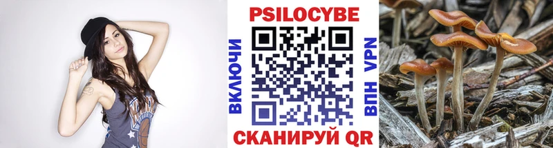 маркетплейс официальный сайт  сколько стоит  Спас-Клепики  Псилоцибиновые грибы мицелий 